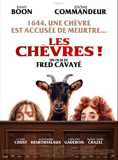Affiche Film France