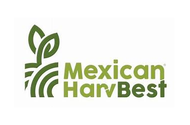 Eat Mexican Harvbest Logo